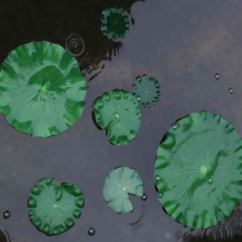 2026 Artificial Water Lily Lot - Aquarium Marine Plants recension och pris