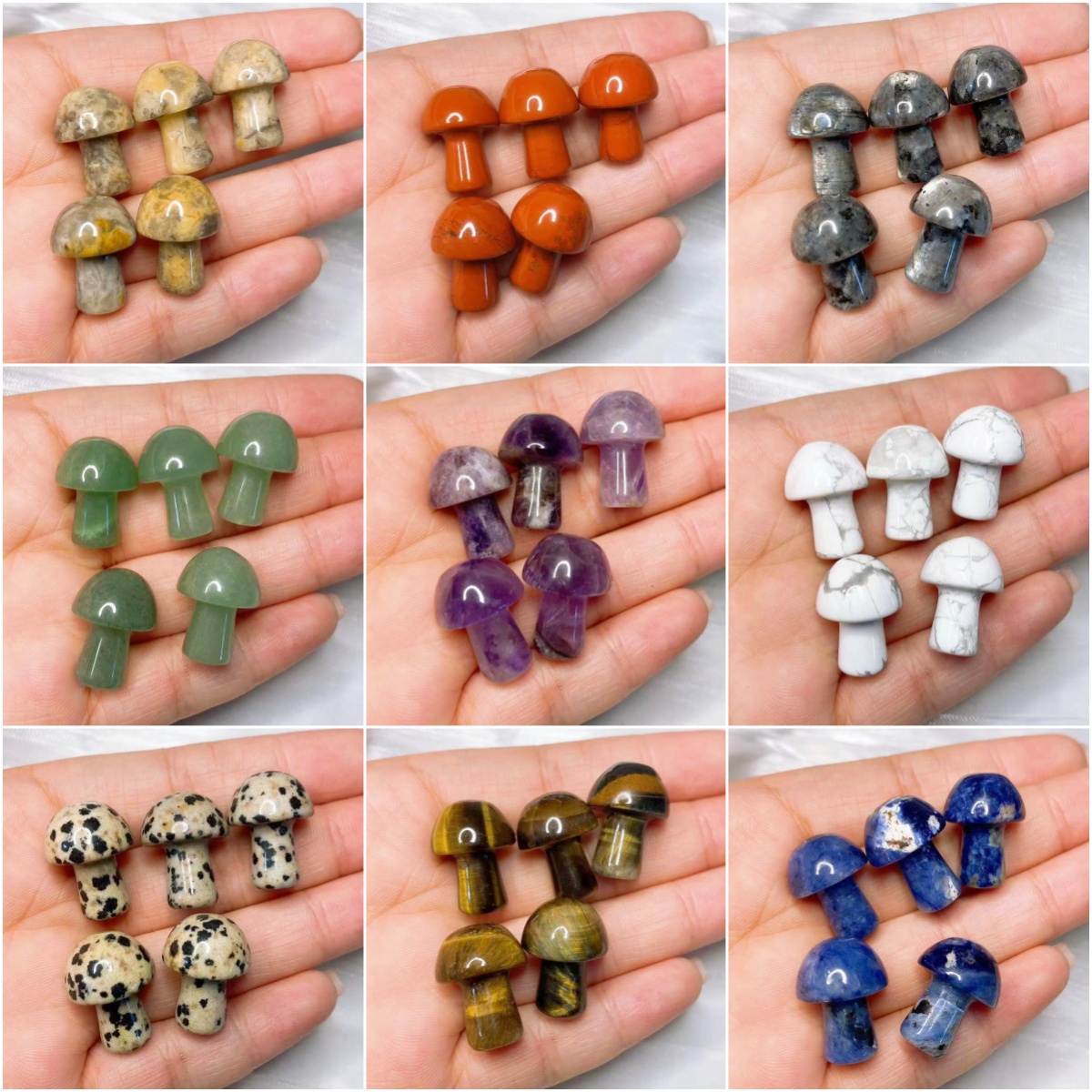 Natural Crystal Mini Mushroom  - Aquarium Marine Plants recension och pris