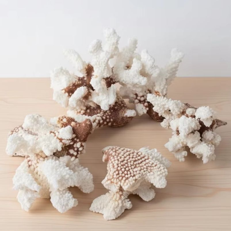 1pc Natural White Coral Cluste - Aquarium Marine recension och pris