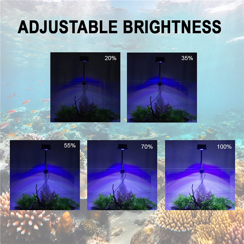 30W Aquarium Fish Tank Sea Wat - Marine Aquarium Water recension och pris