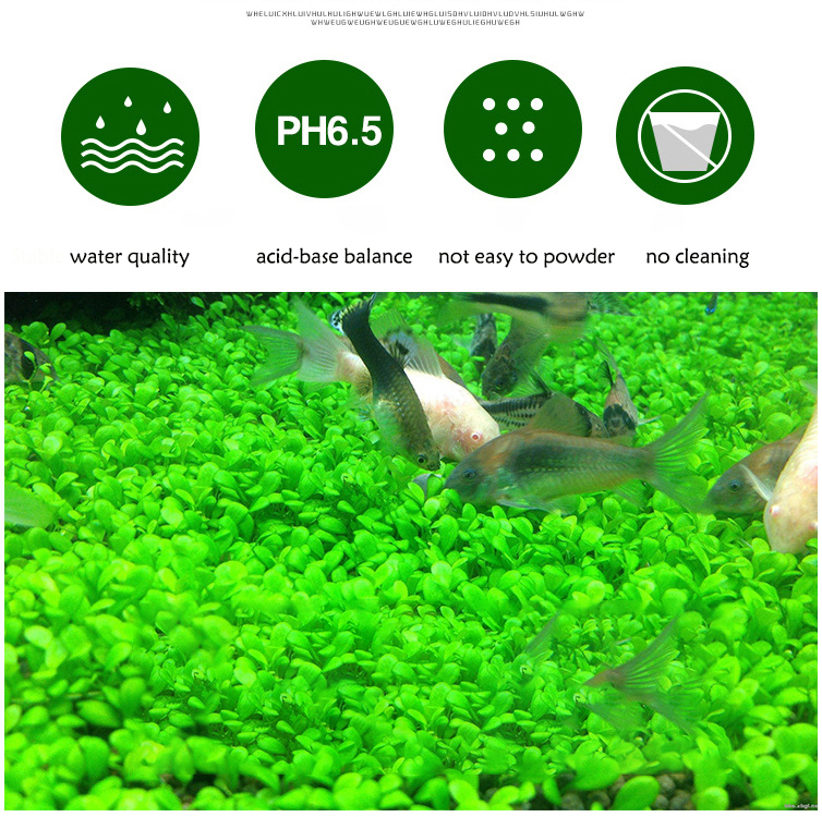 Aquarium Plant Seeds Soil Fish - Aquarium Marine Plants recension och pris