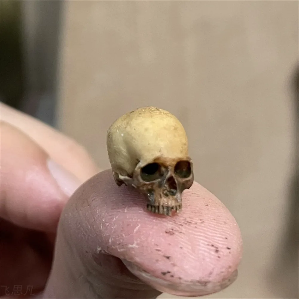Mini Skull High Quality Miniat - Aquarium Marine Plants recension och pris