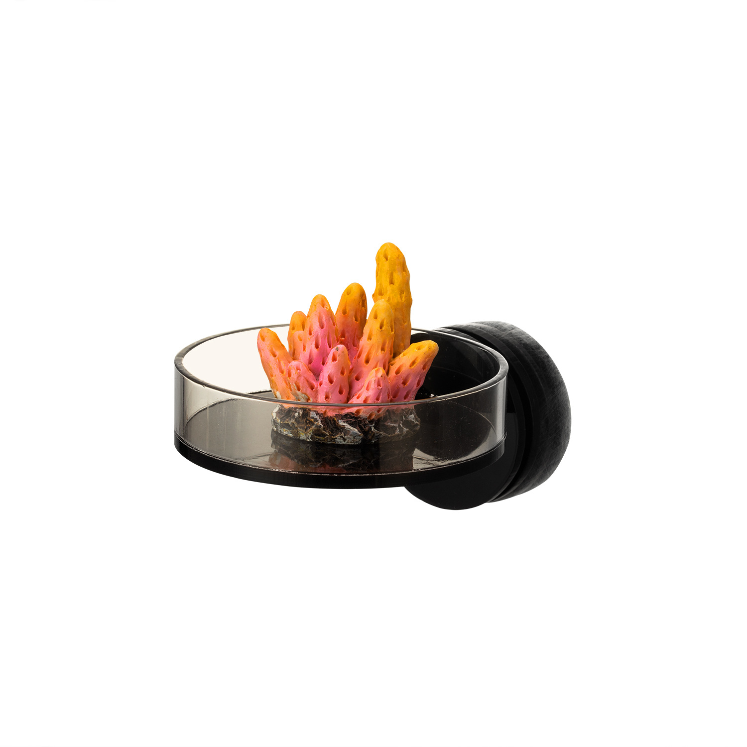 Marine Sources 70mm Black Magn - Aquarium Marine recension och pris