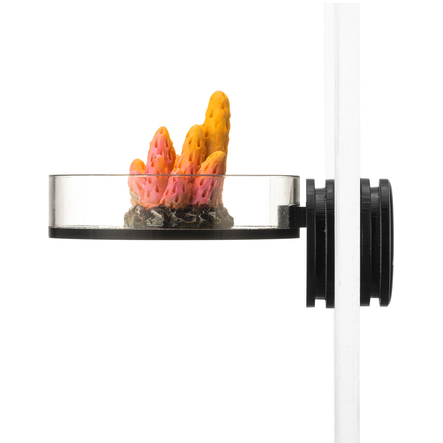 Marine Sources 70mm Black Magn - Aquarium Marine recension och pris